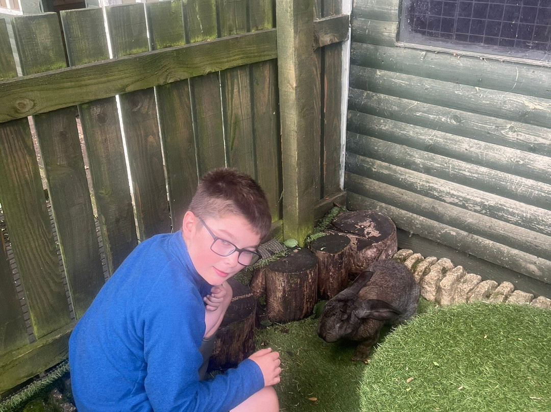 Lakeland Llama Treks-Melmerby必去景点