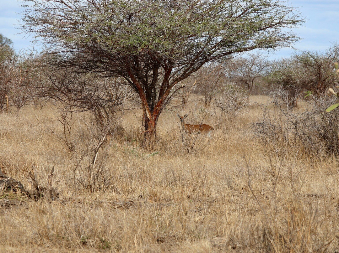 Nandzana Safaris-伐拉博瓦必去景点