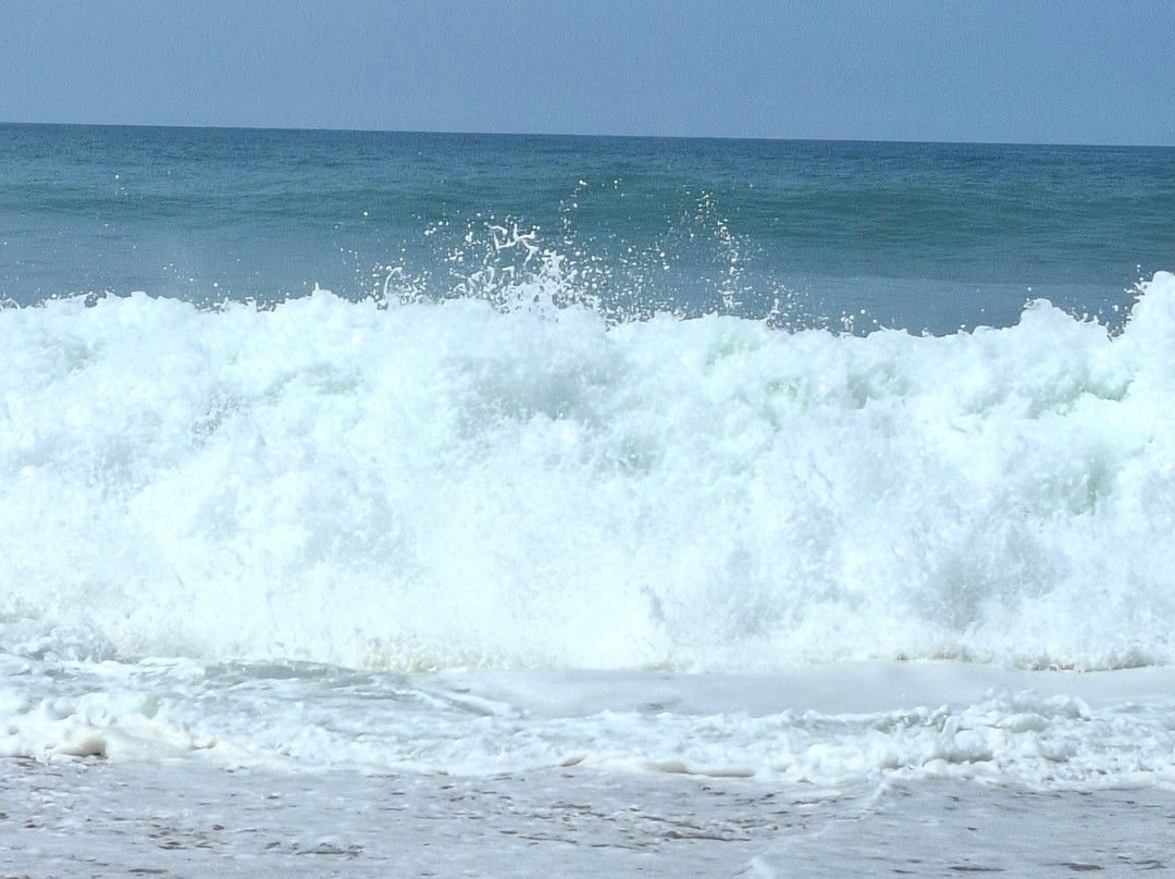 Beach of Tarnos-Tarnos必去景点