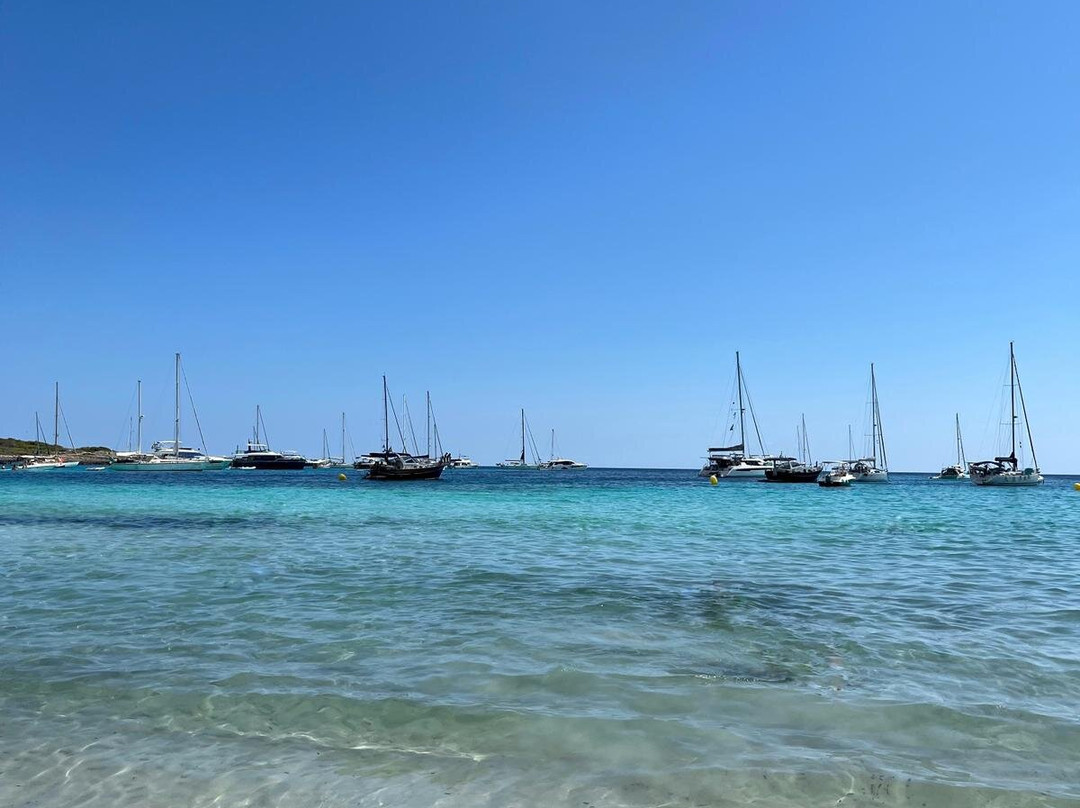 Platges de Son Saura-休达德亚必去景点