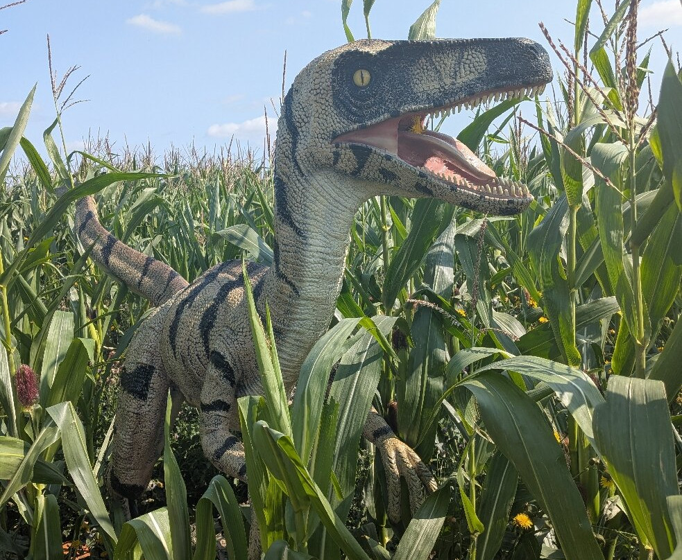 Fantasy Farm-Heather必去景点