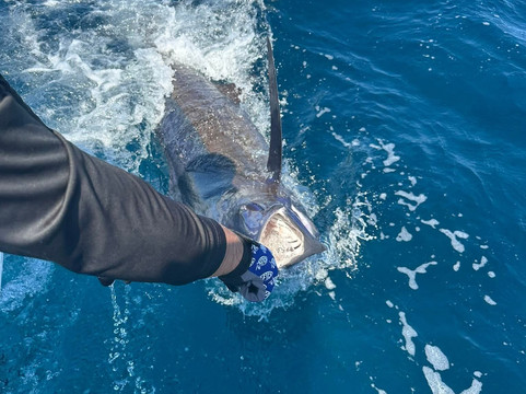 Cabo Sportfishing Crew-卡波圣卢卡斯必去景点