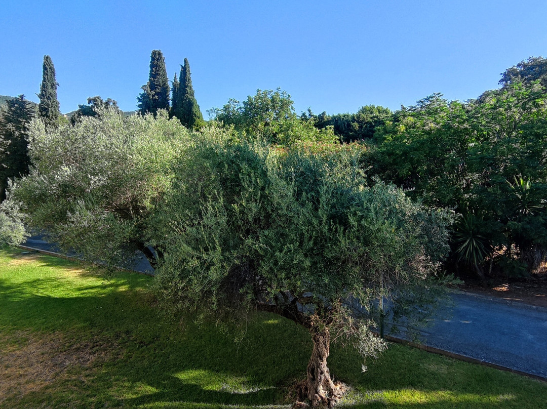 艾雅科尔多瓦酒店主图