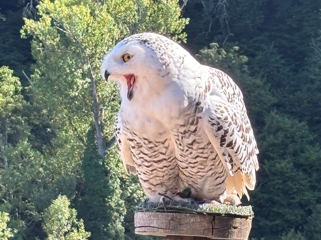Château de Rochebaron-Bas-en-Basset必去景点