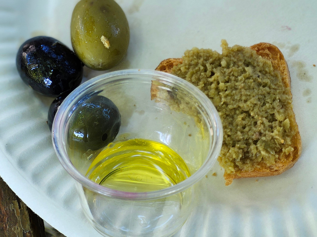 Moulin à Huile Saint Jean-Fontvieille必去景点