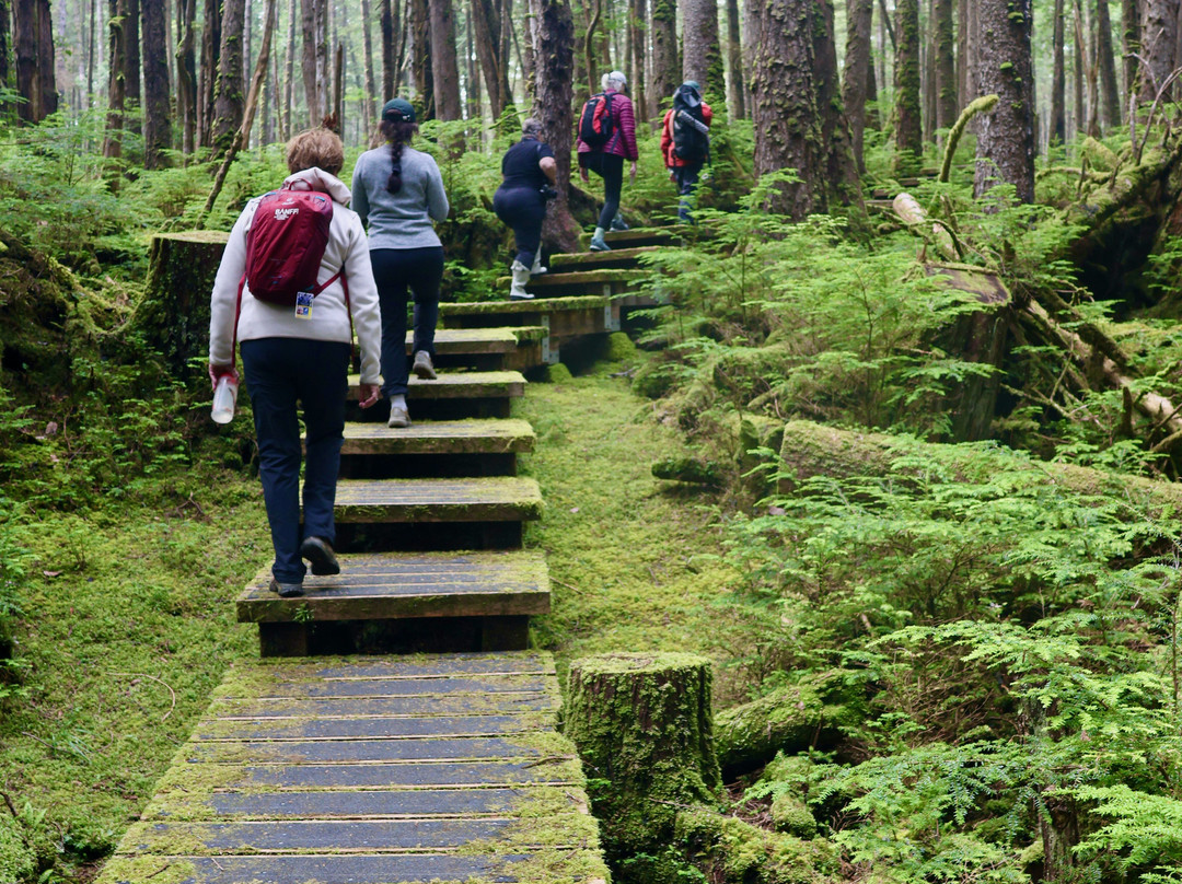 斯冈瓜伊(安东尼岛)-海达瓜(夏洛特皇后群岛)必去景点