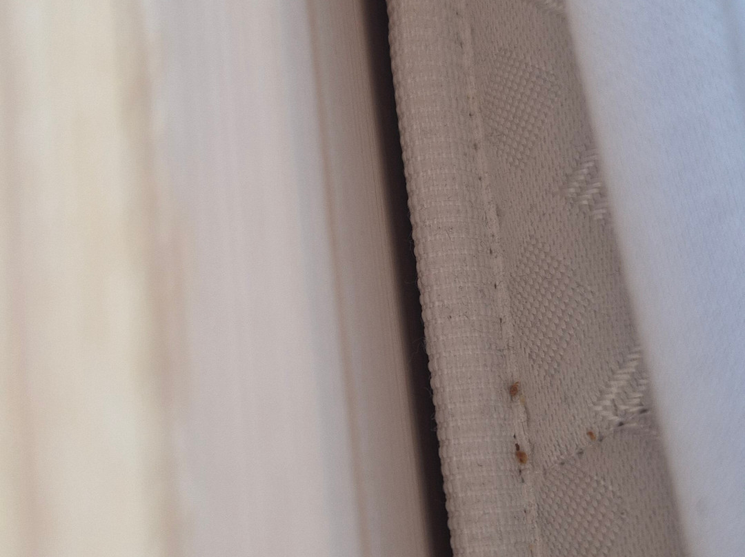 Revier Mountain Lodge Adelboden主图