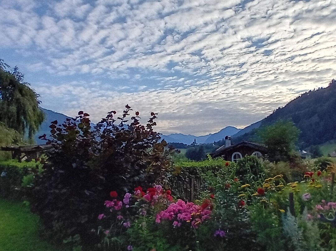 Pensione Rieplhof主图