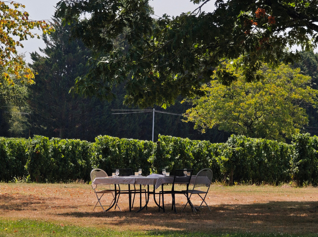 Dordogne Vineyard Tours-Mouleydier必去景点