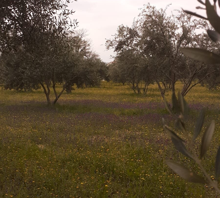 OPG Pensa Family Farm-Kastel Luksic必去景点