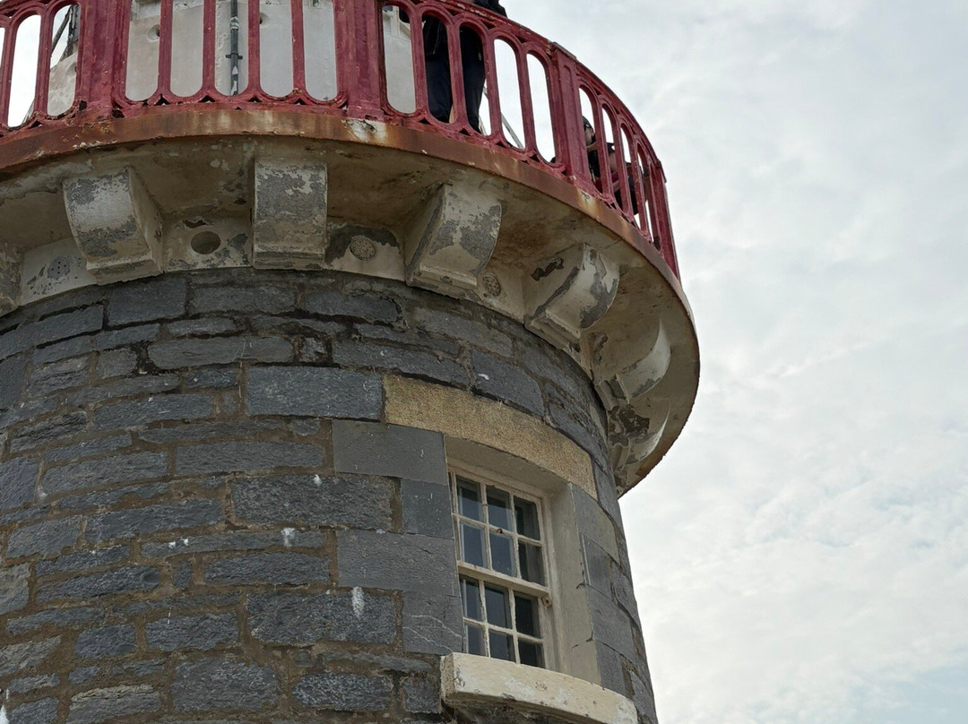 Tralee Bay Experience- Fenit boat tours-Fenit必去景点