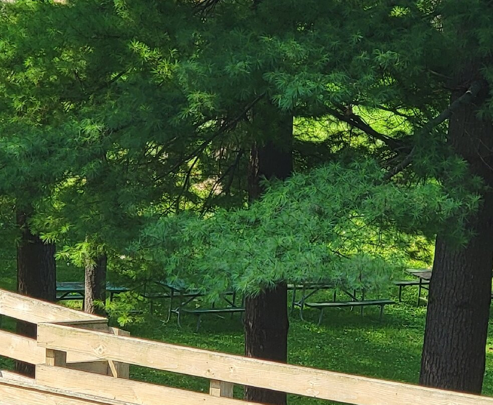 Galena Trolley Tours-加利纳必去景点