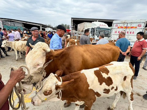 Kashgar Ancient Discovery Tours-喀什市必去景点
