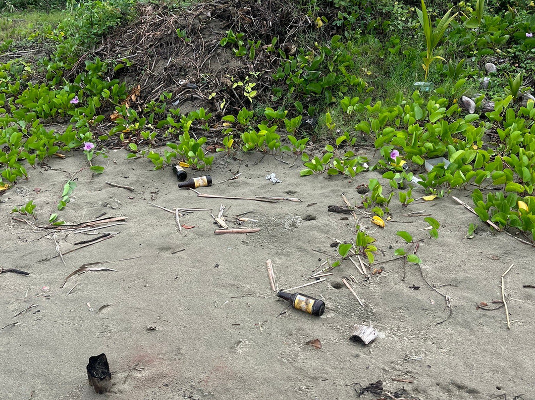 Wailoaloa Beach-纳迪市必去景点