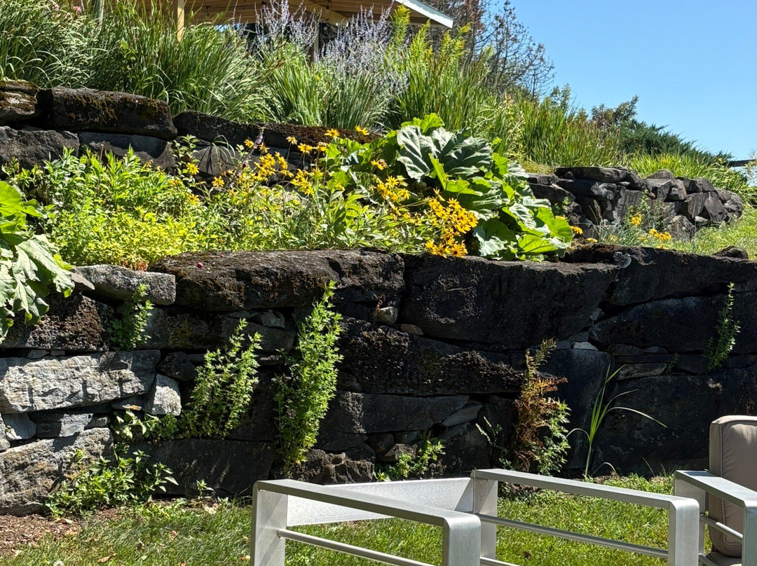 Wildflower Inn主图