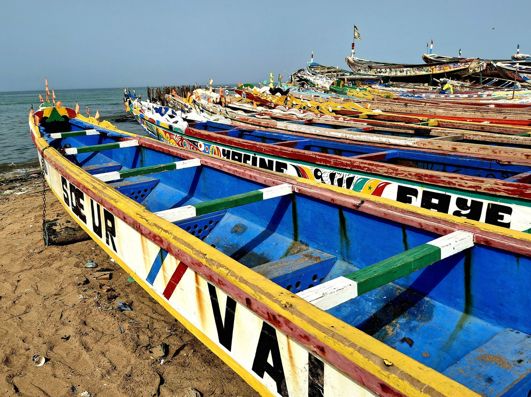 Excursions Départ Hôtel Riu Baobab-Ponto必去景点
