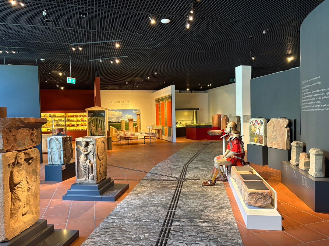 Reiss Engelhorn Museen Mannheim-曼海姆必去景点