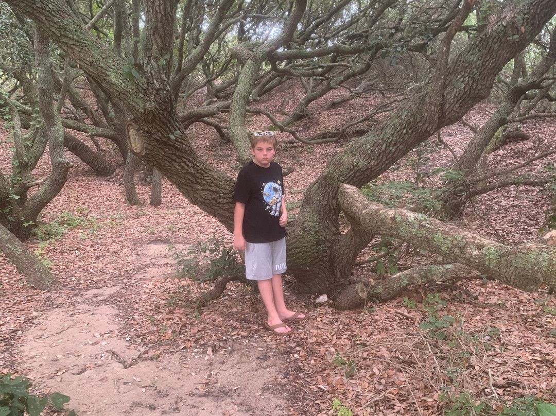 First Landing State Park-弗吉尼亚海滩必去景点