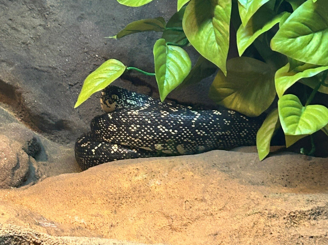 Legasea Aquarium & The Reptarium-Utica必去景点