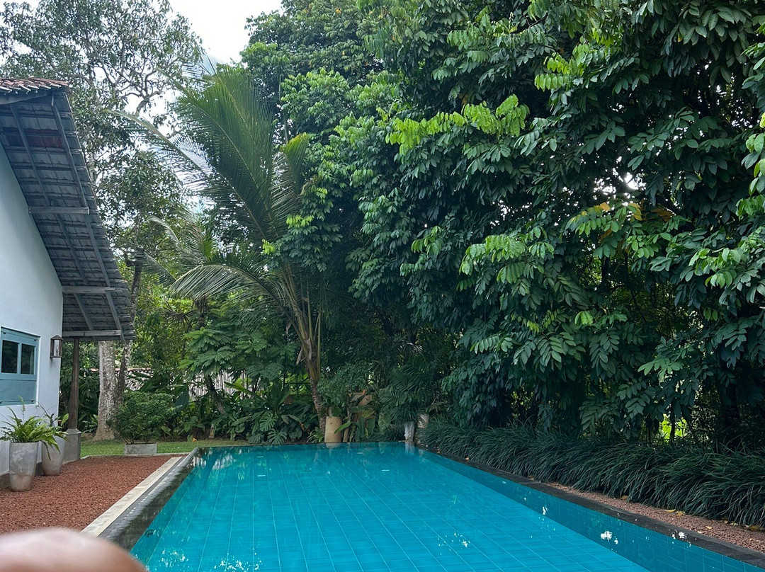 The Jungle Loft Galle主图