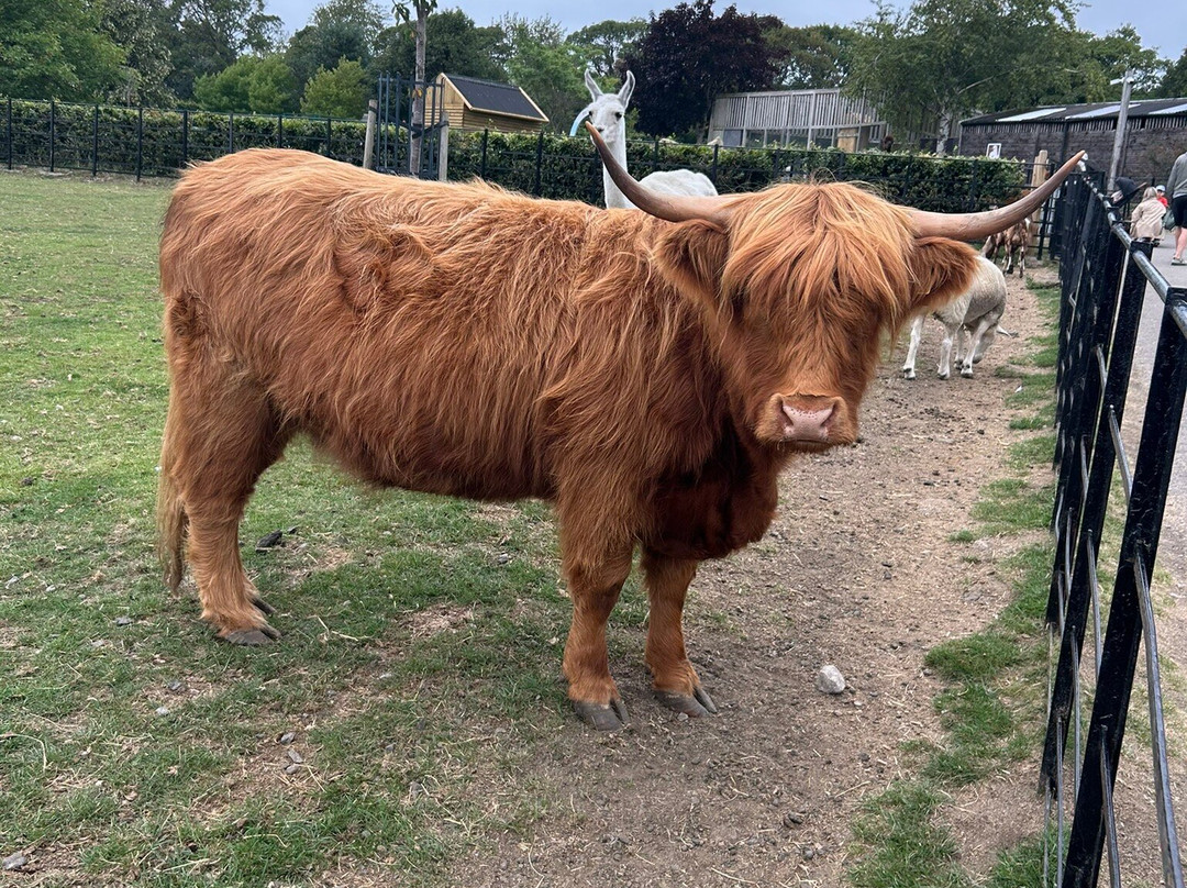格雷夫公园-谢菲尔德必去景点