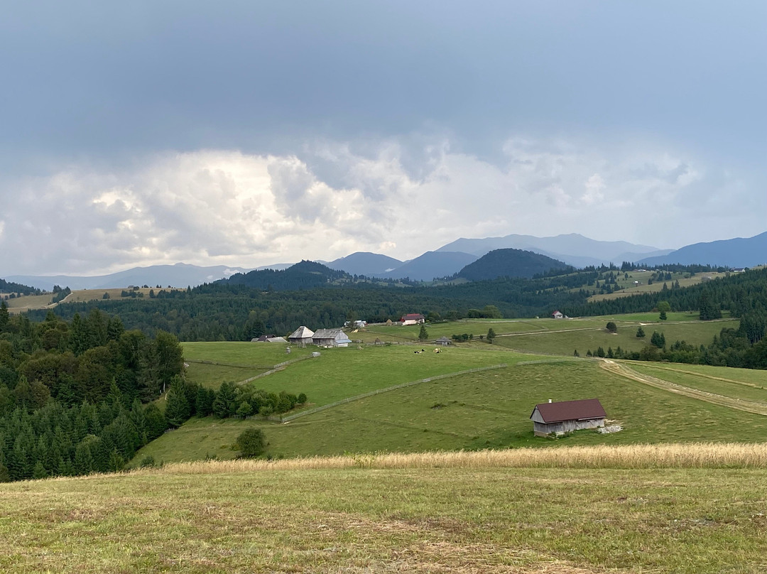 CarpatBike-布加勒斯特必去景点