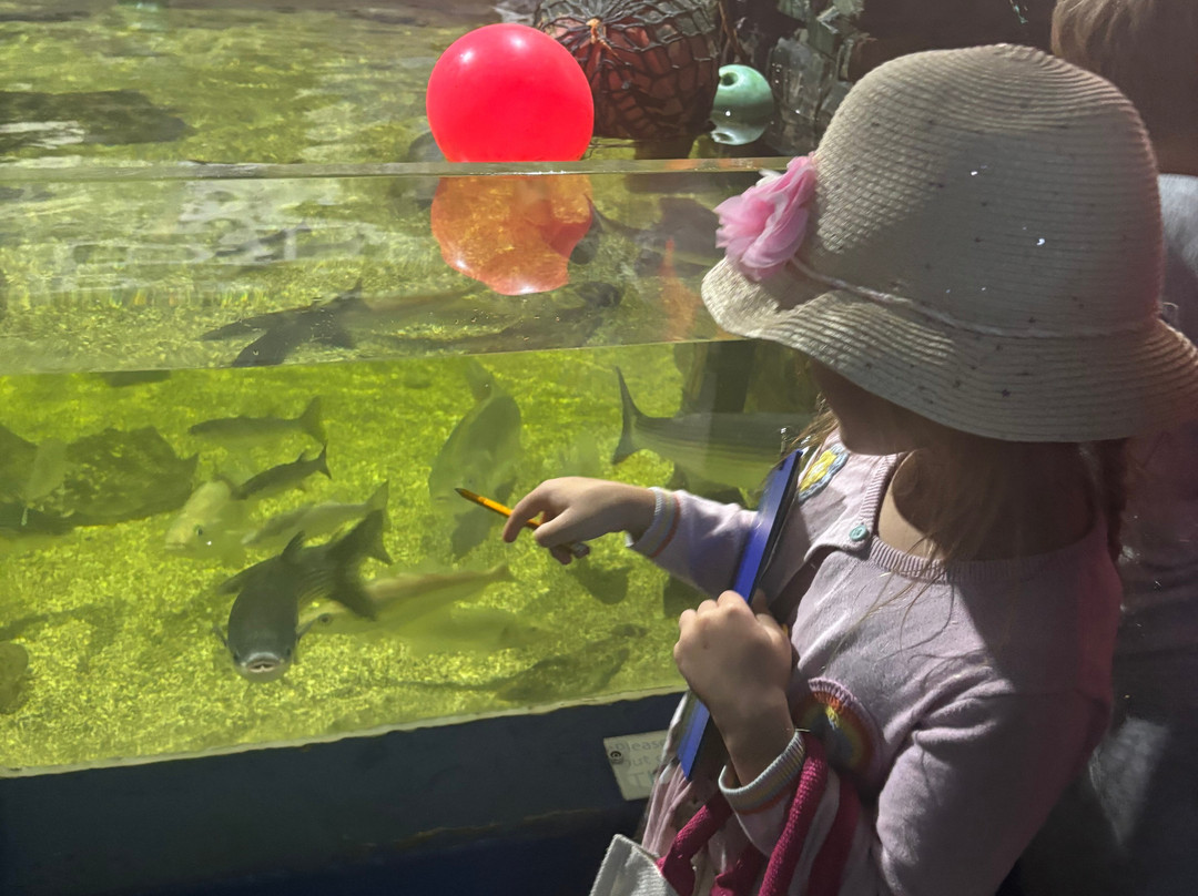 Ilfracombe Aquarium-伊尔弗勒科姆必去景点