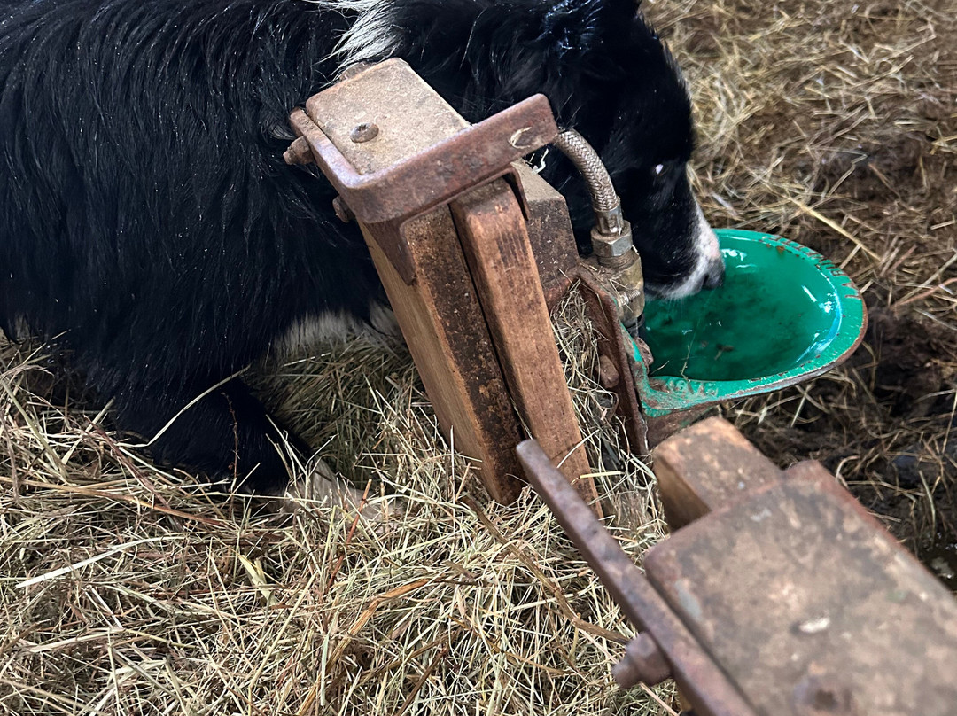 La Ferme Ametzalde-Lasse必去景点