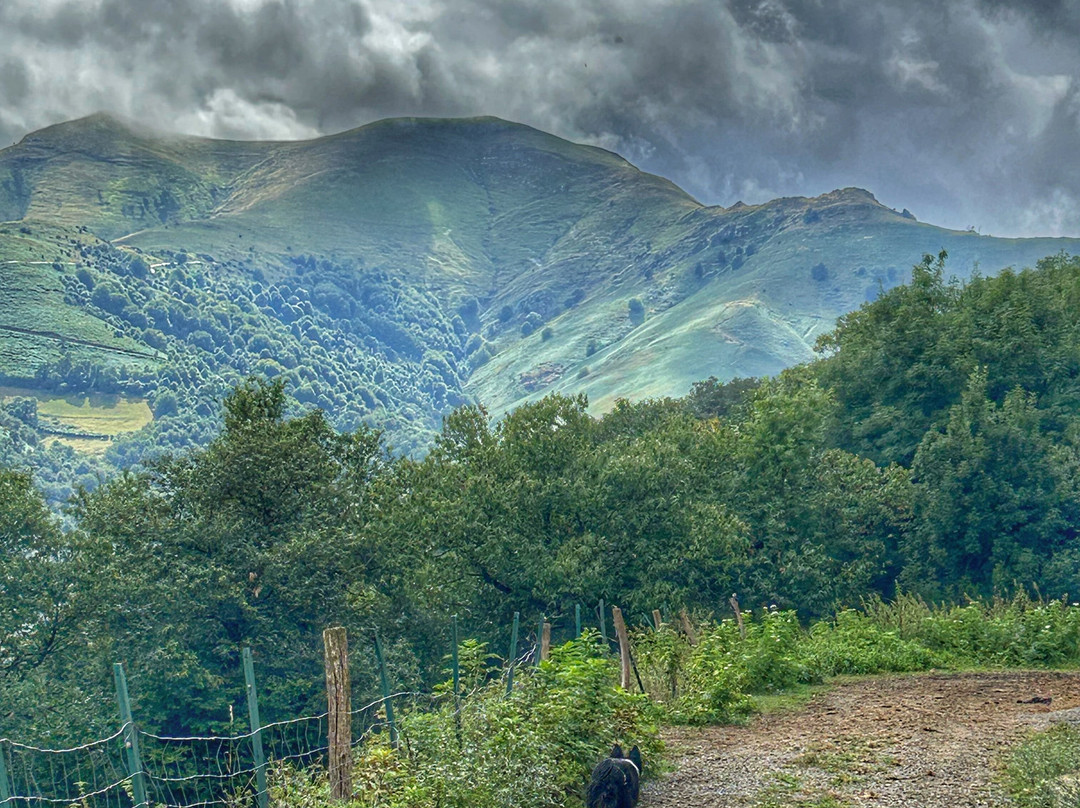 La Ferme Ametzalde-Lasse必去景点