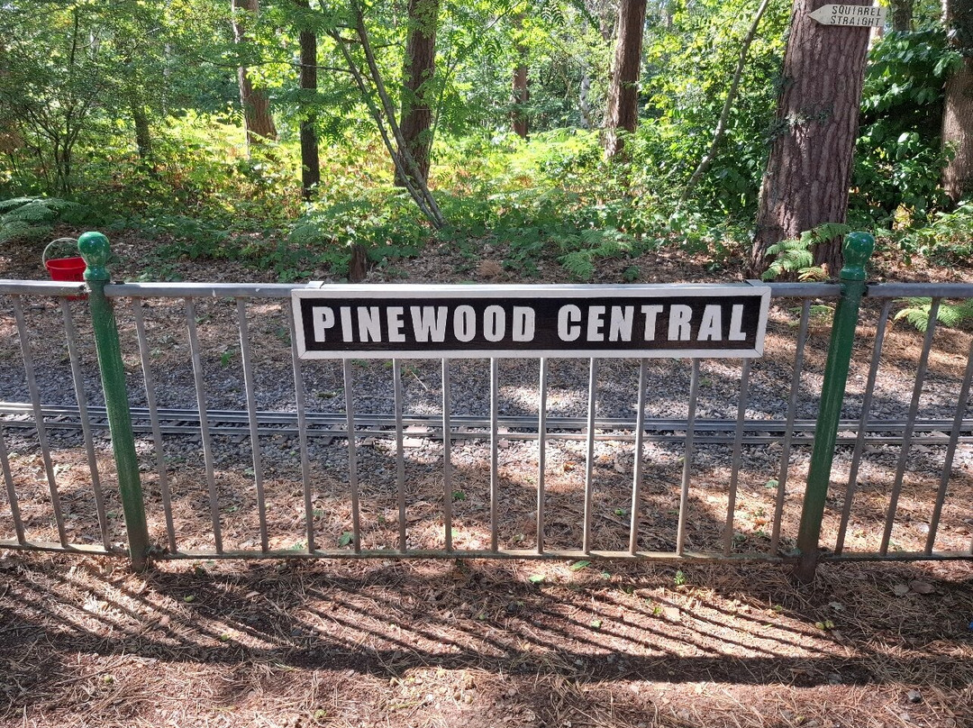 Pinewood Centre-沃金厄姆必去景点