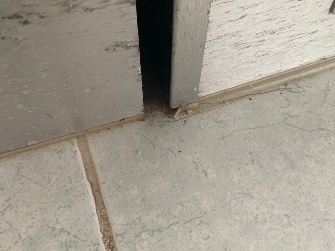 Baia Degli Aranci主图