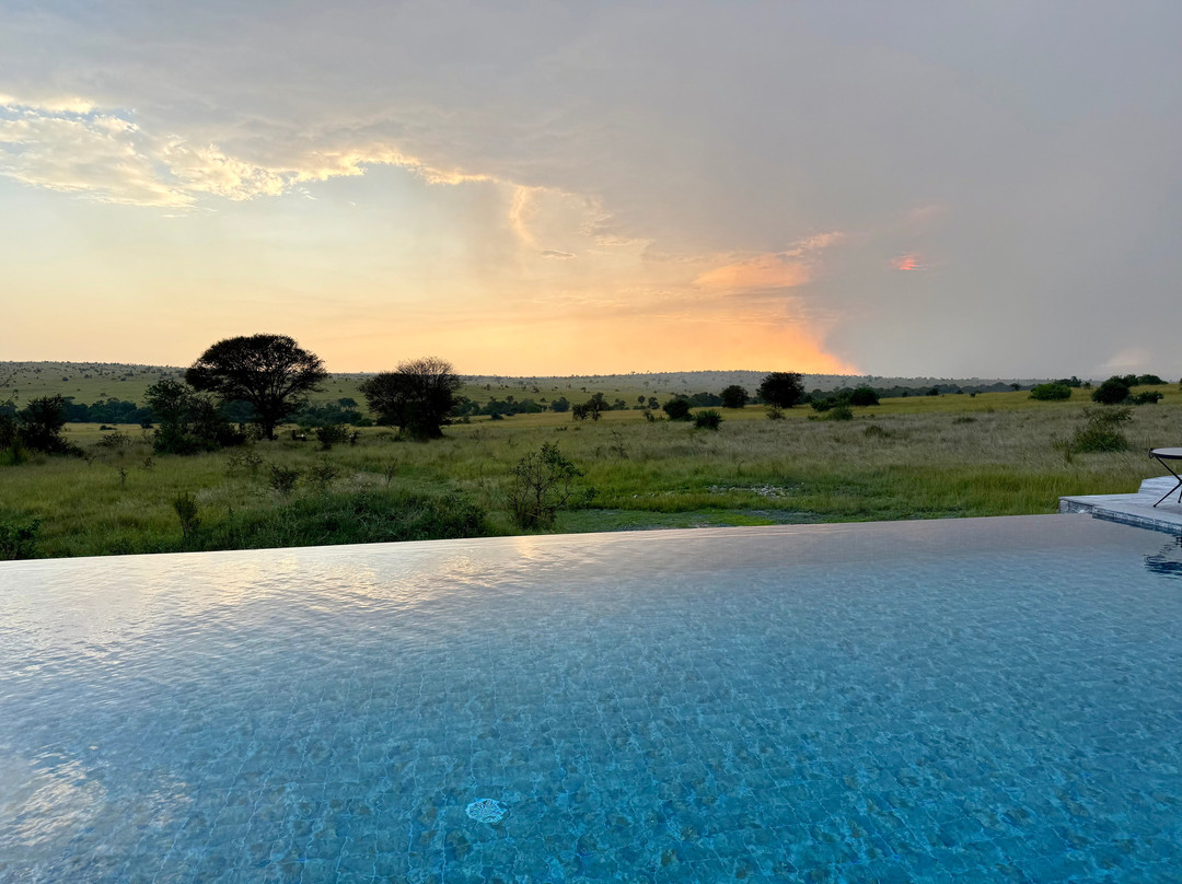 Nasikia Safaris-阿鲁沙必去景点