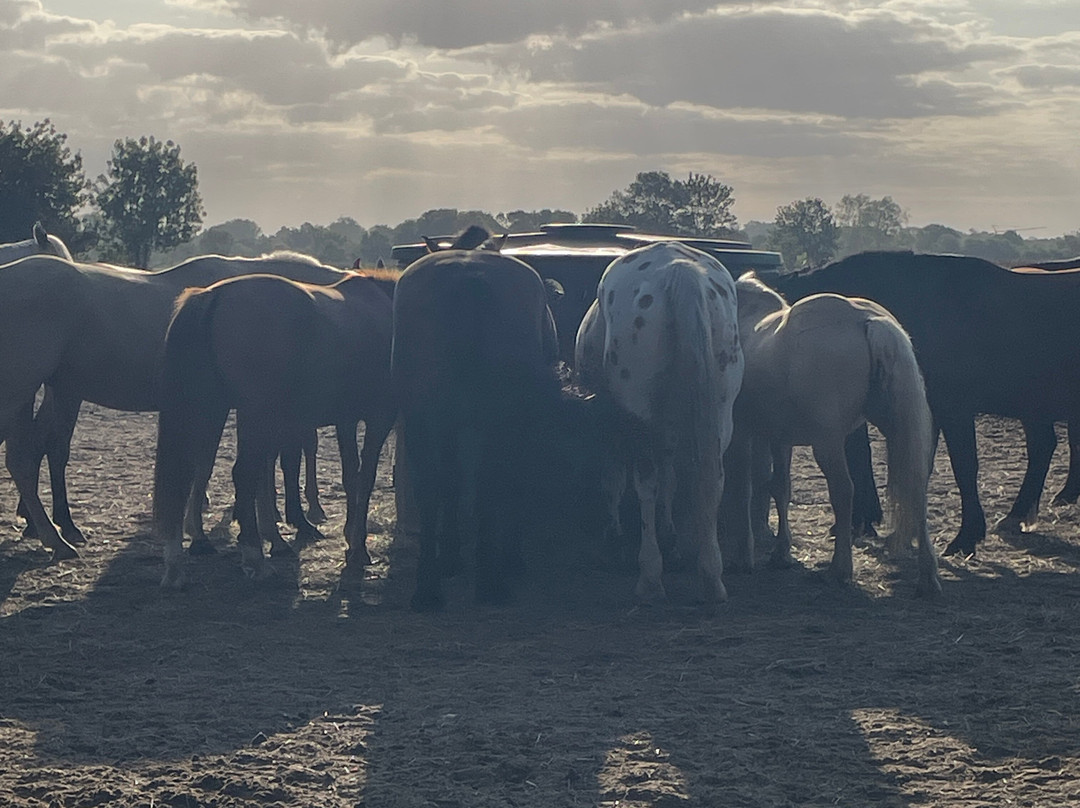 La Chevauchée des Dunes-圣热昂德蒙特必去景点