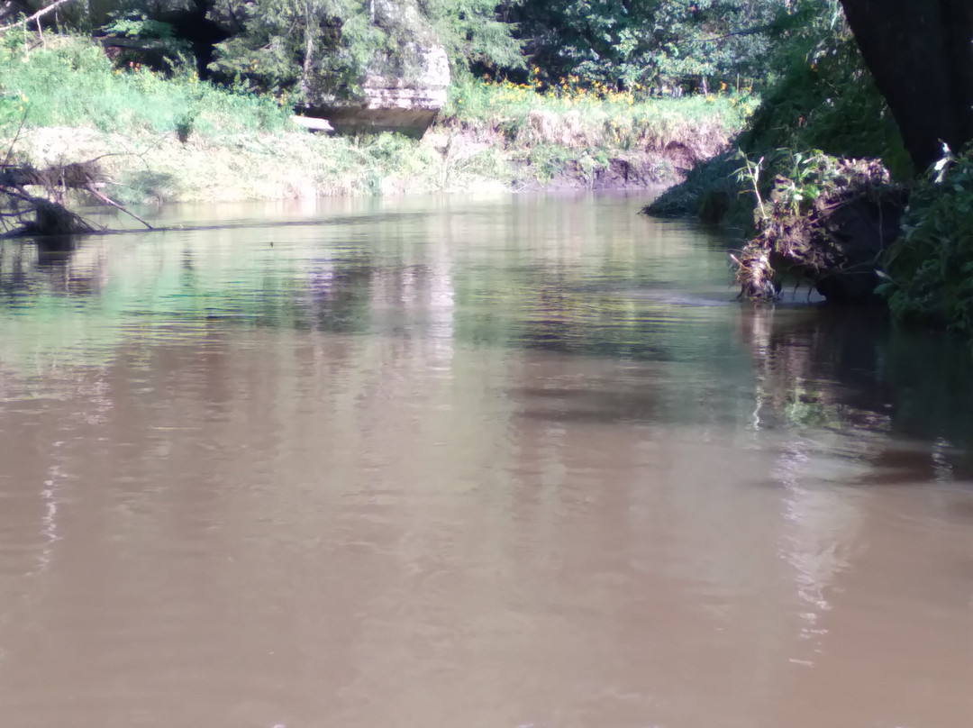 Titanic Canoe Rentals-Ontario必去景点