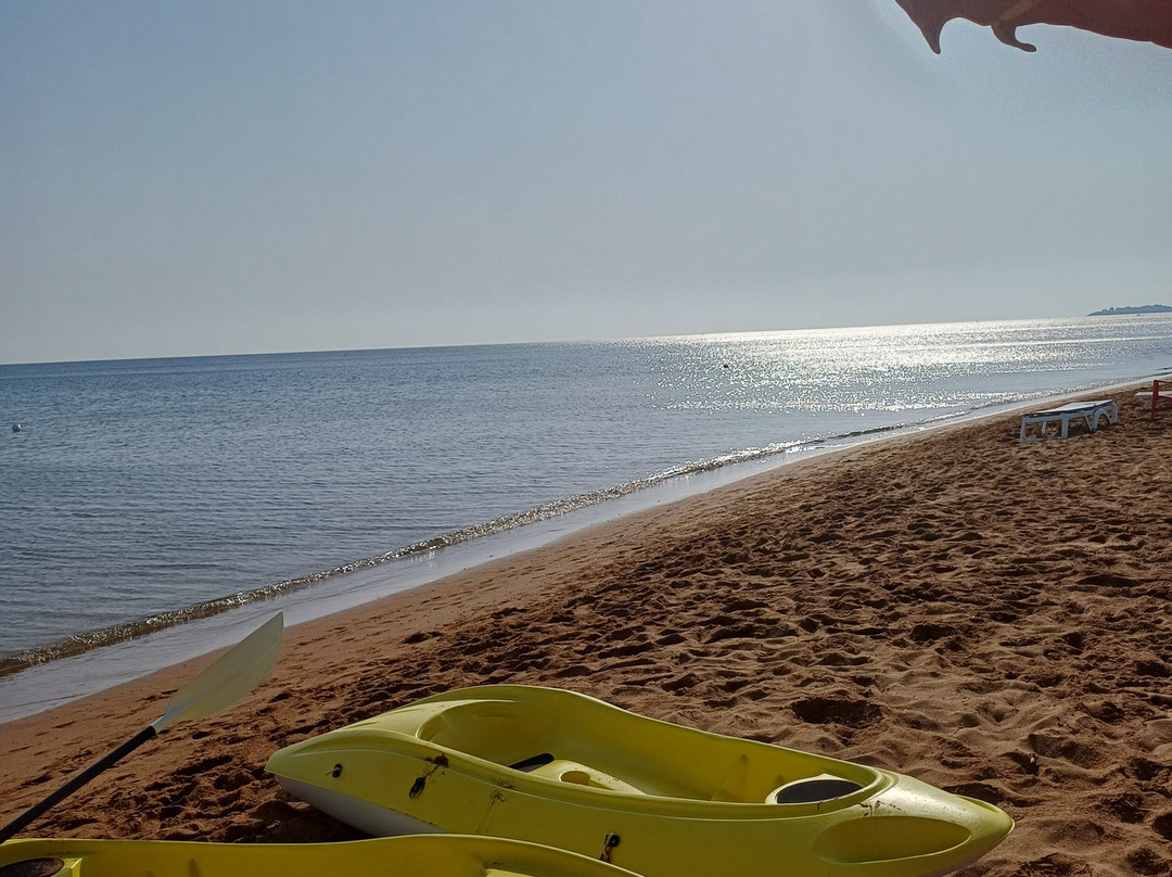 Futura Club Casarossa