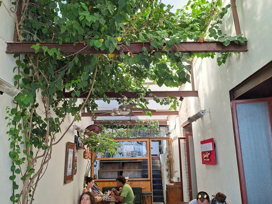 The Old Buoy-福克斯通必去景点