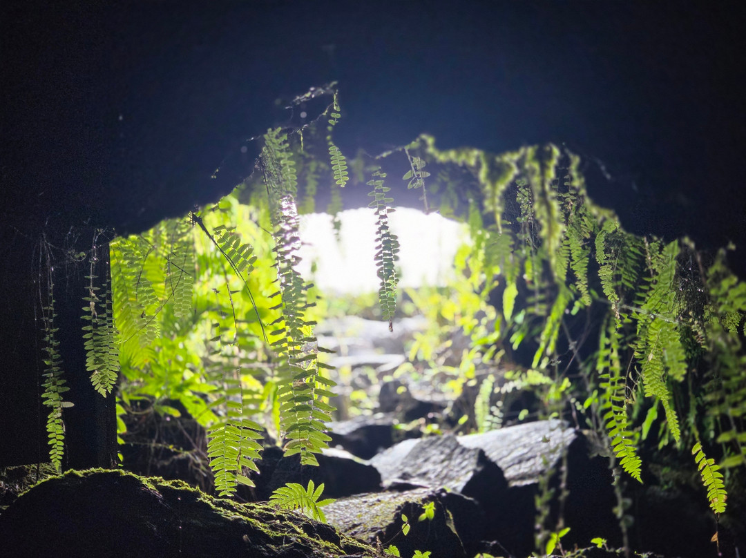 Tunnels de lave Réunion: Volcanorun-Saint-Philippe必去景点