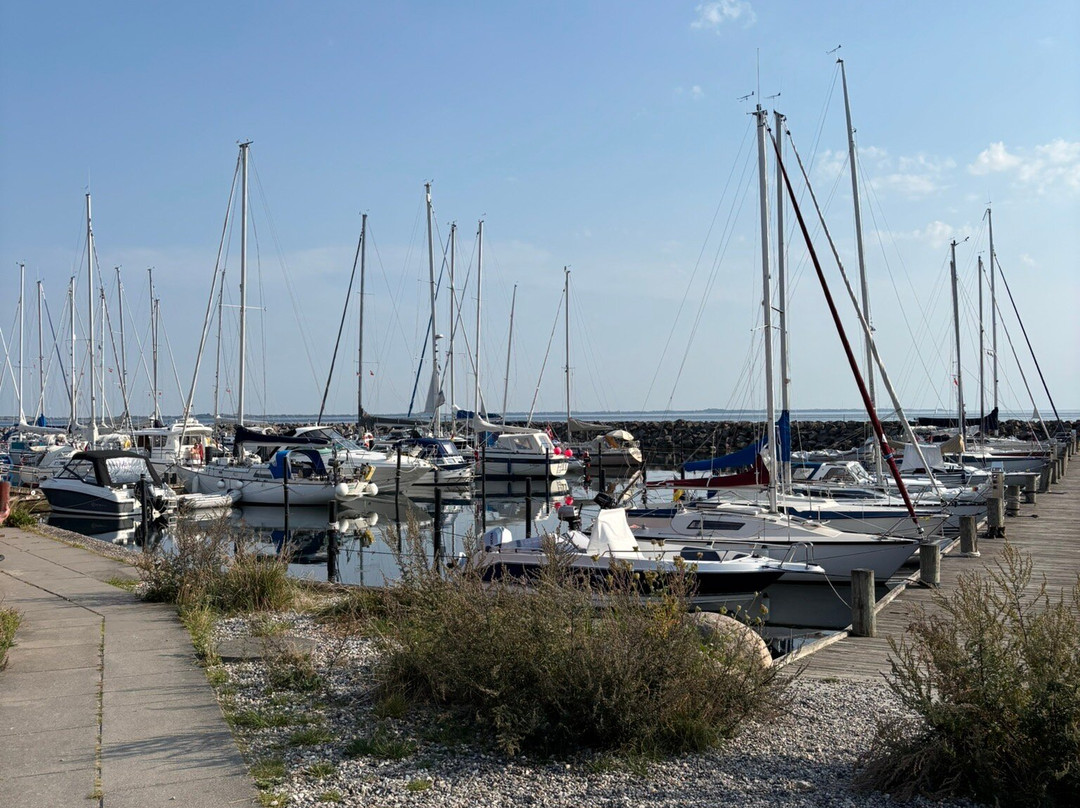 Maarup Havn-马璐必去景点