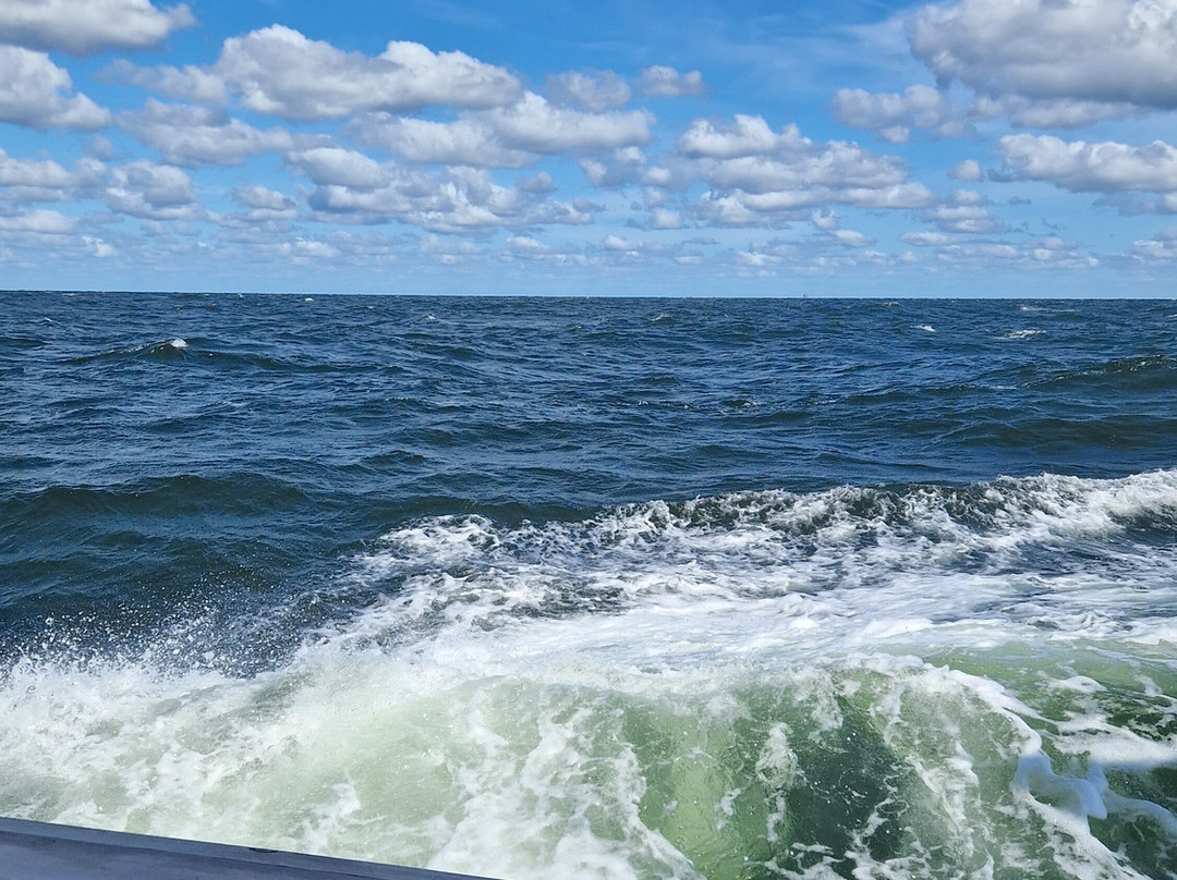 Tam Poland - Boat Tours-科沃布热格必去景点