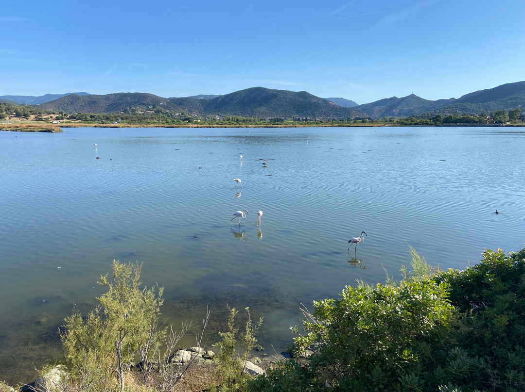 Spiaggia di Monte Cogoni-Chia必去景点