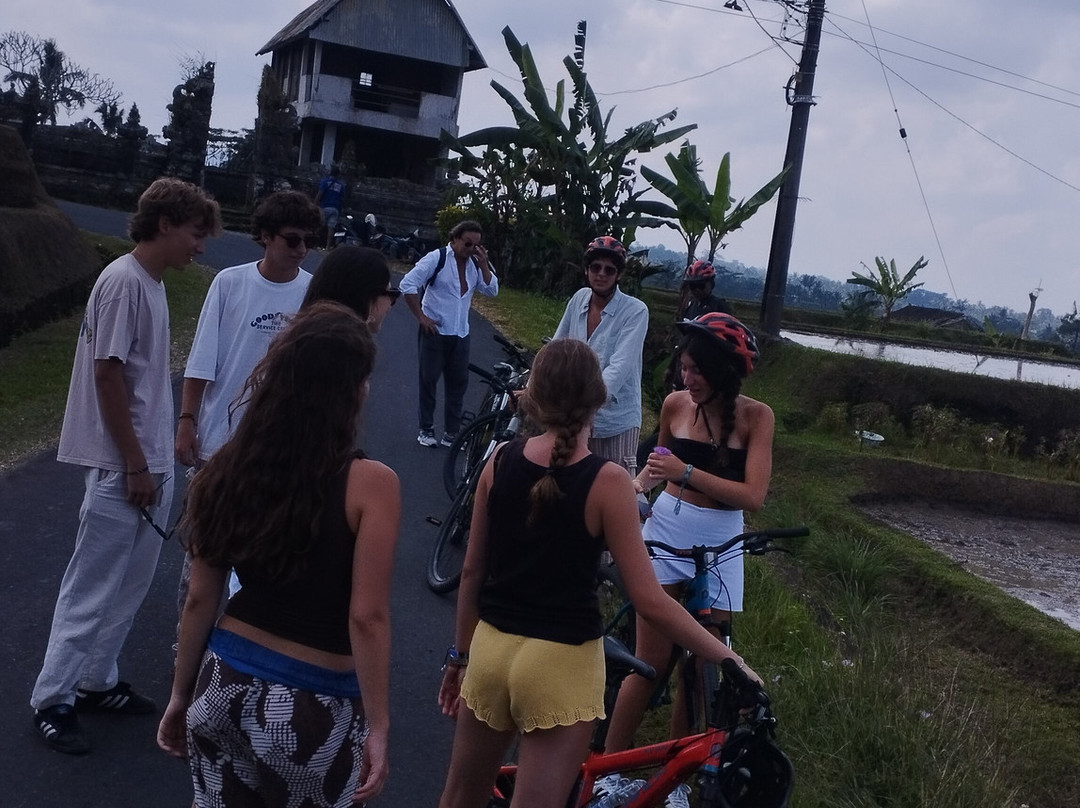 Jatiluwih Cycling Tour By Easy Bali Cycling-达巴南必去景点