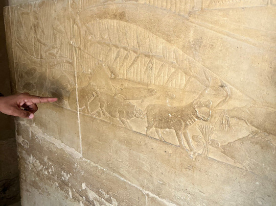 Egy Smart Travel-New Cairo City必去景点