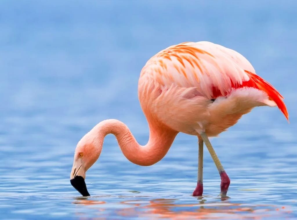 Stepclimb Adventures-莫西必去景点