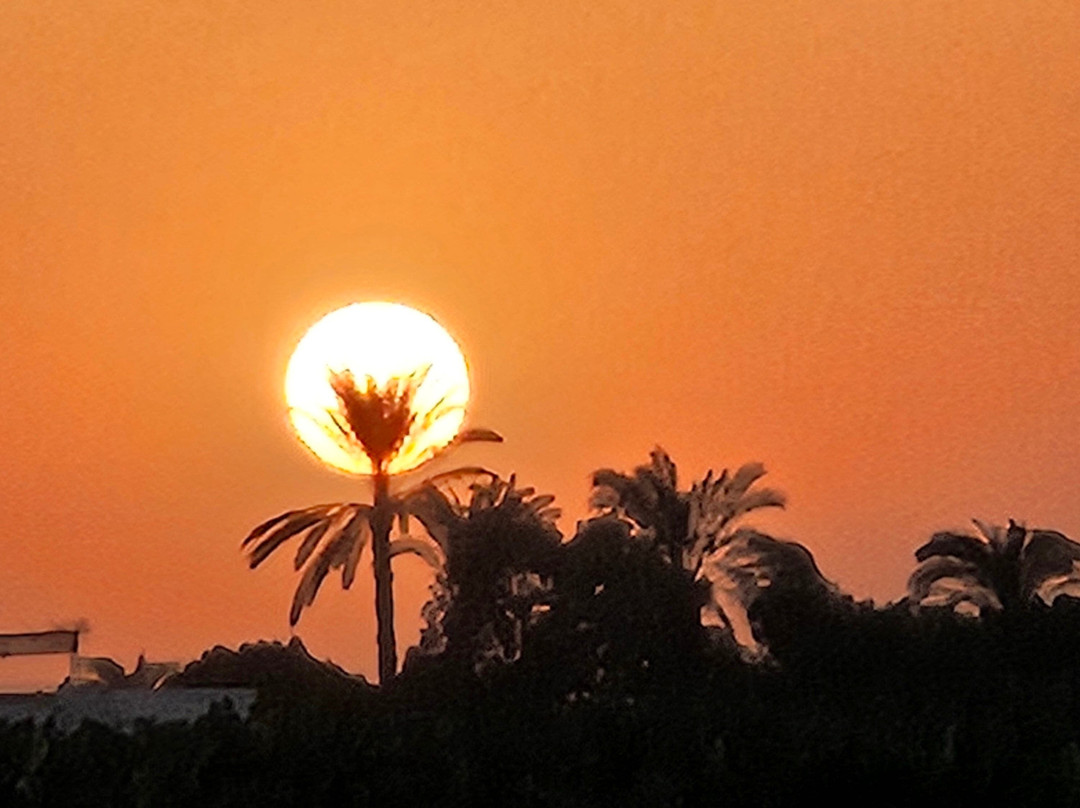 JJ Jamaica Felucca-亚斯文必去景点