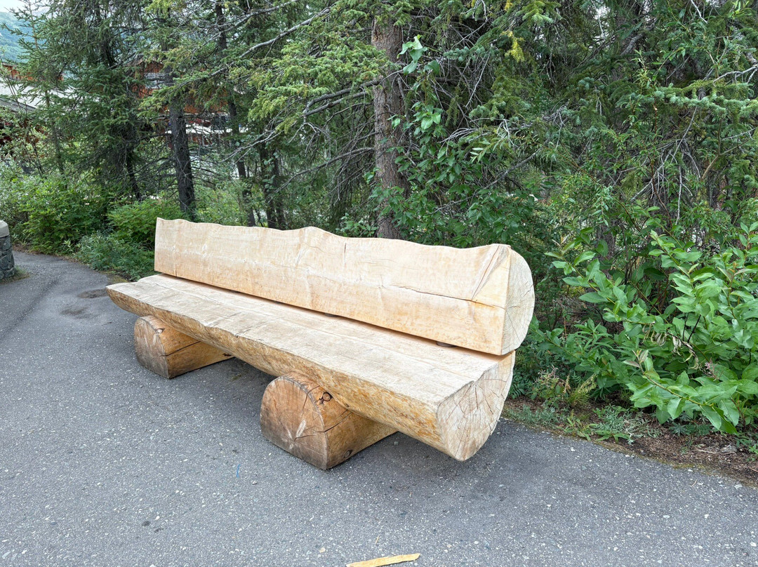 Denali Visitor Center-德纳利国家公园和自然保护区必去景点