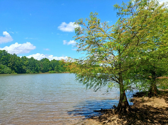 Parque Witeck-Novo Cabrais必去景点