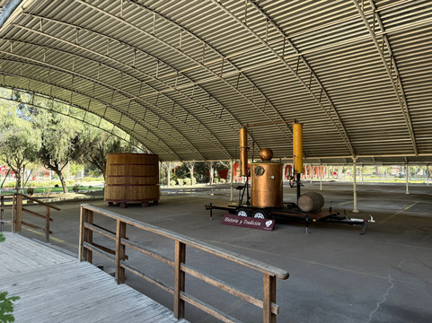 Turismo Delfines-拉塞雷纳必去景点