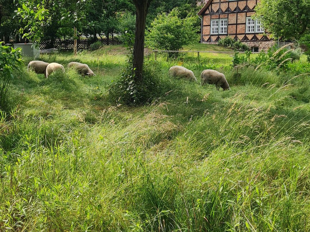 Freilichtmuseum Diesdorf