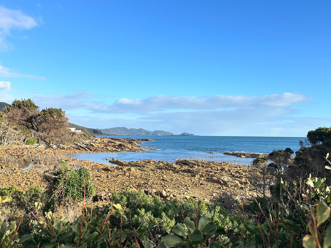 Boat Harbour Beach-温耶德必去景点