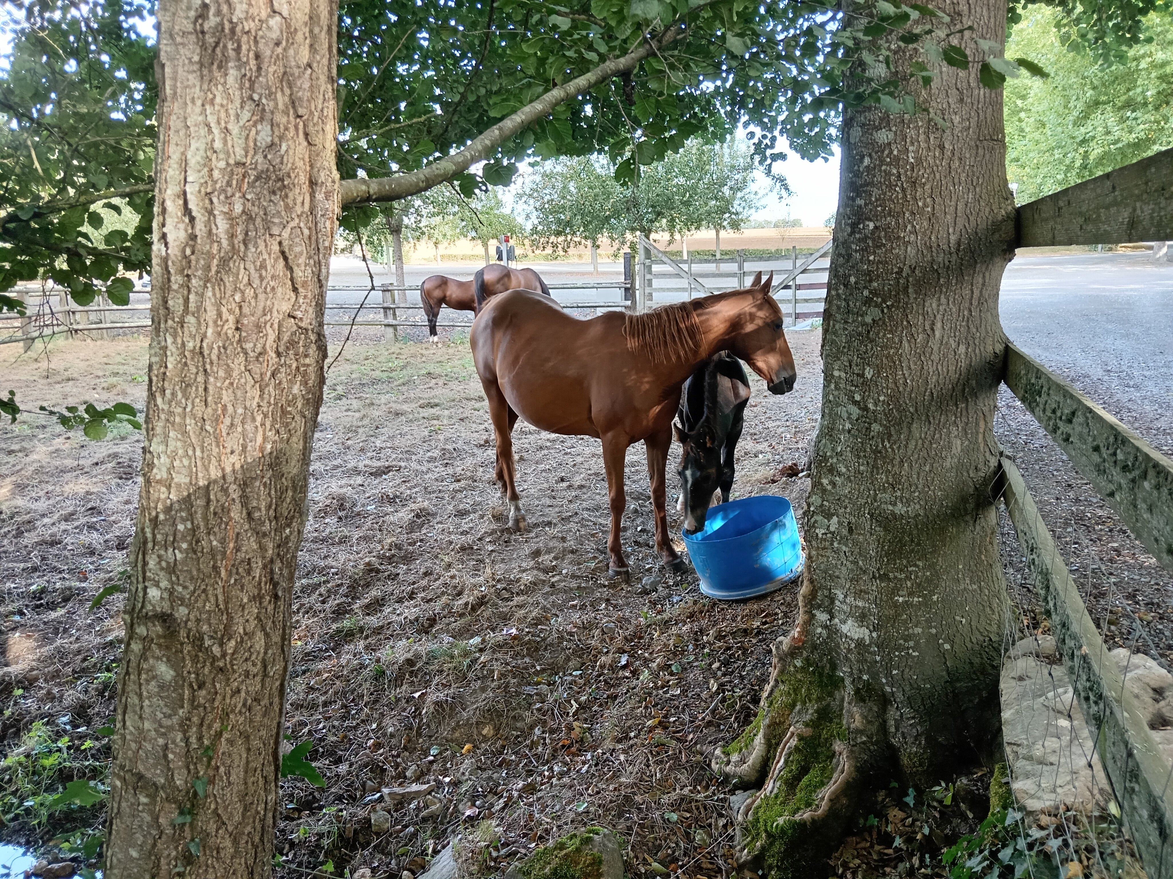 拉图尔葡萄园酒店-官方